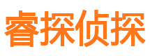 察雅侦探公司